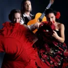 Unternehmen 1 Bild ACADEMIA FLAMENCA LAS HERMANAS Tanzschulen am Graz 6
