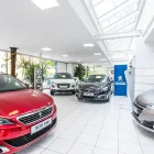 Unternehmen 2 Bild AUTOHAUS EDELSBRUNNER GESMBH Werkstätten (Pkw) am Graz 6
