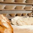 Unternehmen 3 Bild BÄCKEREI CAFE KOLL Nahrungs-/Genussmittel am Kirchschlag In Der Buckligen Welt 3