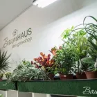 Unternehmen 2 Bild BAUMHAUS – DEIN GROWSHOP GMBH Obst, Gemüse Einzelhandel am Graz 6