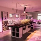 Unternehmen 5 Bild BAUMHAUS – DEIN GROWSHOP GMBH Obst, Gemüse Einzelhandel am Graz 6