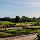 Unternehmen 5 Bild BAUMSCHULEN ALOIS STÖCKL GMBH Land-/Forstwirtschaft/Fischerei am Zell An Der Pram 4