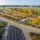 Unternehmen 7 Bild BAUMSCHULEN ALOIS STÖCKL GMBH Land-/Forstwirtschaft/Fischerei am Zell An Der Pram 4