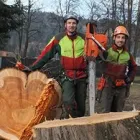 Unternehmen 1 Bild BAUMSERVICE SL OG Gartenpflege, Baumpflege am Sankt Lorenzen Im Mürztal 6