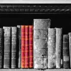 Unternehmen 4 Bild BELFOR AUSTRIA GMBH Rohrleitungsbauunternehmen am Wien 9