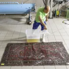 Unternehmen 3 Bild BIO TEPPICHREINIGUNG GRAZ Teppichreinigung, Polstermöbelreinigung am Graz 6