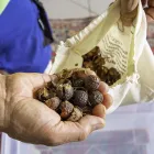 Unternehmen 2 Bild BIO TEPPICHREINIGUNG GRAZ Teppichreinigung, Polstermöbelreinigung am Graz 6