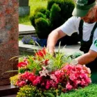 Unternehmen 2 Bild BLUMEN ENGELE - INH MARIO MARBLER Land-/Forstwirtschaft/Fischerei am Graz 6