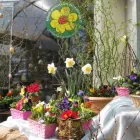 Unternehmen 1 Bild BLUMEN HEIMO U STEFANIE BEINHARDT Land-/Forstwirtschaft/Fischerei am Graz 6