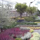 Unternehmen 6 Bild BLUMEN HEIMO U STEFANIE BEINHARDT Land-/Forstwirtschaft/Fischerei am Graz 6