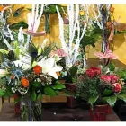 Unternehmen 7 Bild BLUMEN HEIMO U STEFANIE BEINHARDT Land-/Forstwirtschaft/Fischerei am Graz 6