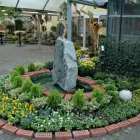 Unternehmen 8 Bild BLUMEN HEIMO U STEFANIE BEINHARDT Land-/Forstwirtschaft/Fischerei am Graz 6
