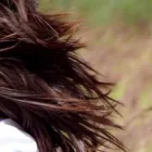 Unternehmen 3 Bild BSTÄNDIG PAUL GESMBH Medizinische Geräte und Reparatur Wartung am Wien 9