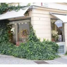 Unternehmen 2 Bild BURGFLORIST FLORA SALON E.U. RUDOLF HAJEK Garten/Pflanzen am Graz 6