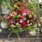 Unternehmen 3 Bild BURGFLORIST FLORA SALON E.U. RUDOLF HAJEK Garten/Pflanzen am Graz 6