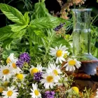 Unternehmen 3 Bild CHRISTOPHORUS APOTHEKE Medizin/Gesundheitswesen am Eferding 4