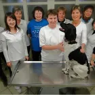 Unternehmen 3 Bild DAS TIERÄRZTETEAM AM RATHAUSPLATZ Ärzte am Spittal An Der Drau 2