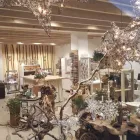 Unternehmen 1 Bild DEKORELA Raumausstatter, Innenausstatter am Traun 4