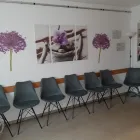 Unternehmen 1 Bild DR. KARIN SONNLEITNER Ärzte am Wien 9