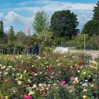 Unternehmen 3 Bild ECKER - ECKHOFEN GARTENGESTALTUNG KG Land-/Forstwirtschaft/Fischerei am Grambach 6