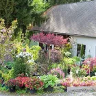 Unternehmen 2 Bild ECKER - ECKHOFEN GARTENGESTALTUNG KG Land-/Forstwirtschaft/Fischerei am Grambach 6