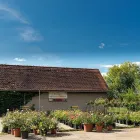 Unternehmen 6 Bild ECKER - ECKHOFEN GARTENGESTALTUNG KG Land-/Forstwirtschaft/Fischerei am Grambach 6