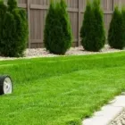 Unternehmen 1 Bild FA. GANICO FACILITY Gartenpflege, Baumpflege am Graz 6