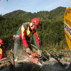 Unternehmen 3 Bild FORST-FOHRINGER Land-/Forstwirtschaft/Fischerei am Puchberg Am Schneeberg 3