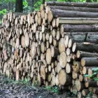 Unternehmen 4 Bild FORST-FOHRINGER Land-/Forstwirtschaft/Fischerei am Puchberg Am Schneeberg 3