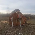 Unternehmen 6 Bild FORST-FOHRINGER Land-/Forstwirtschaft/Fischerei am Puchberg Am Schneeberg 3