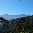 Unternehmen 7 Bild FORST-FOHRINGER Land-/Forstwirtschaft/Fischerei am Puchberg Am Schneeberg 3
