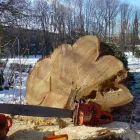 Unternehmen 3 Bild FRITZ SCHUTTI Zimmerarbeiten, Holzbauarbeiten am Stallhofen 6