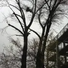 Unternehmen 3 Bild GARTEN U LANDSCHAFTSBAU KURT Land-/Forstwirtschaft/Fischerei am Wien 9