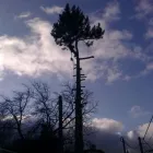 Unternehmen 4 Bild GARTEN U LANDSCHAFTSBAU KURT Land-/Forstwirtschaft/Fischerei am Wien 9