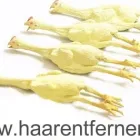 Unternehmen 10 Bild HAARENTFERNEN DAUERHAFT IM KOSMETIKSTUDIO WIEN Kosmetiksalons am Wien 9