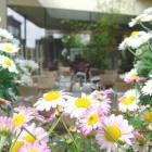 Unternehmen 3 Bild HOCHL FLORISTIK Garten/Pflanzen am Graz 6