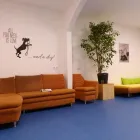 Unternehmen 4 Bild HUNDEHORT WIEN Tierpensionen am Wien 9
