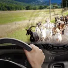 Unternehmen 3 Bild INFAR EFERDING - INSTITUT FÜR NACHSCHULUNG & VERKEHRSPSYCHOLOGISCHE UNTERSUCHUNG Ärzte am Eferding 4