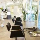 Unternehmen 1 Bild INTERCOIFFEUR MAYER GMBH & CO KG Kosmetik/Körperpflege am Graz 6