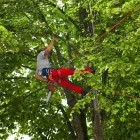 Unternehmen 1 Bild MASCHINENRING EFERDING Verleihunternehmen, Vermietungsunternehmen, Vermittlungsunternehmen am Eferding 4