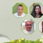 Unternehmen 2 Bild MASSAGE-KOSMETIK-FUSSPFLEGE-SCHULE HOLOS INSTITUT Bildung/Schulen/Wissenschaft/Forschung am Wien 9