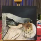 Unternehmen 14 Bild MOBILE TIERBESTATTUNG KUKLA E.U. Tierärzte am Wien 9