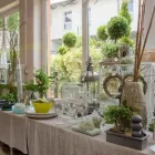 Unternehmen 4 Bild NEUHOLD GARTENCENTER Garten/Pflanzen am Hausmannstätten 6