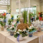 Unternehmen 7 Bild NEUHOLD GARTENCENTER Garten/Pflanzen am Hausmannstätten 6