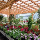 Unternehmen 9 Bild NEUHOLD GARTENCENTER Garten/Pflanzen am Hausmannstätten 6