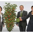 Unternehmen 2 Bild OPTIMA DIE STEUERBERATER GMBH Wirtschaftstreuhänder am Kirchdorf An Der Krems 4