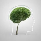 Unternehmen 2 Bild PSYCHOTHERAPEUTISCHE PRAXIS ULRIKE HADERER - INSTITUT FÜR SEELISCHE GESUNDHEIT Ärzte am Baden 3