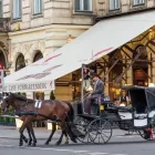 Unternehmen 50 Bild TEMEL PLANEN KG Rolladenarbeiten, Sonnenschutzarbeiten am Wien 9