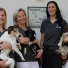Unternehmen 2 Bild TIERÄRZTETEAM Ärzte am Neunkirchen 3