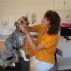 Unternehmen 1 Bild TIERARZTPRAXIS AMADEUS DIPL-TA ZECHMEISTER-MÜHL MARTINA Ärzte am Ried Im Innkreis 4